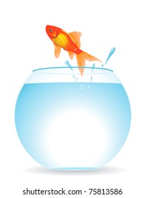 The gold fish jumps out of an aquarium