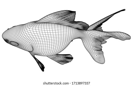 Goldfische, polygonale Linien, Illustration. Abstrakter Fisch aus der Vektorillustration auf weißem Hintergrund