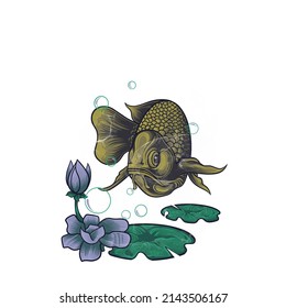 gold fish is a rare fish and the most expensive fish