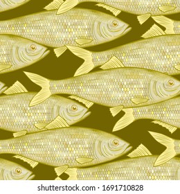 Gold fish seamless pattern background. Vintage color engraving stylized drawing. Vector illustration