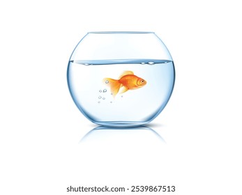 Gold Fish single in glass bowl. Round walls glass tank fish bowl aquarium filled with clear water realistic image. Realistic Gold Fish in Glass Bowl | Round Glass Fish Bowl Filled with Clear Water