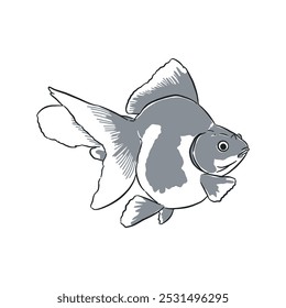 Gold Fish sketch 7 vector line art isolated
