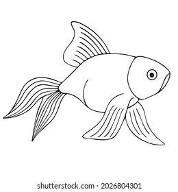 Gold Fish Sketch Fantail Vector Illustration Stock Vector (Royalty Free ...