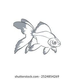 Gold fish sketch vector 2 isolated on white