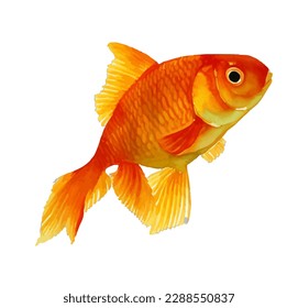 gold fish with style hand drawn digital painting illustration
