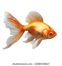 gold fish with style hand drawn digital painting illustration