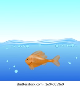 Gold Fish Swims on a Blurred Sea Background.