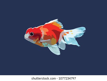 gold fish vector art design