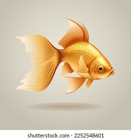 Gold fish. Vector color illustration.