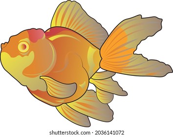 Gold Fish vector flat illustration.