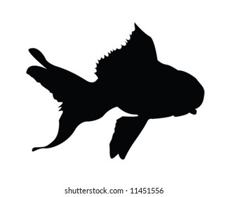 Gold Fish Vector Illustration