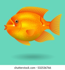 Gold fish. Vector illustration.