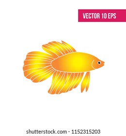 Gold Fish vector illustration on white background