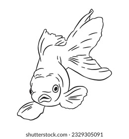 Gold fish vector line art