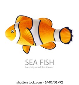 Gold fish Vector realistic isolated on white. Detailed marine life fish