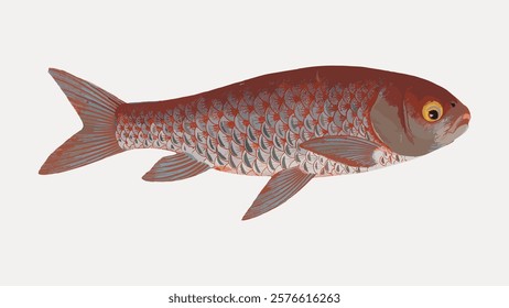 Gold fish vintage illustration isolated on white, vector. Vintage fish illustration, hand draw art element. Drawing of fish, vector.