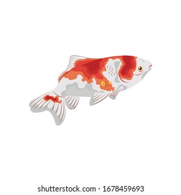 Gold Fish Wakin Illustration vector