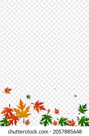 Gold Floral Background Transparent Vector. Plant Ground Card. Brown Season. Celebrate Frame. Orange Foliage Decoration.