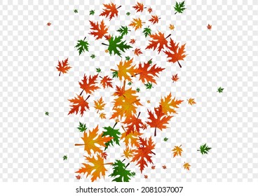 Gold Floral Background Transparent Vector. Plant Beautiful Texture. Brown Canada. Bright Card. Green Maple Logo.