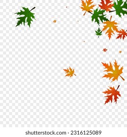 Gold Floral Background Transparent Vector. Leaves Collection Texture. Colorful Tree. Decor Frame. Golden Leaf Shape.