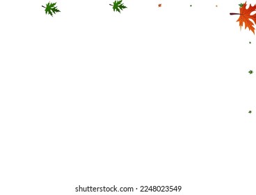 Gold Floral Background White Vector. Foliage Realistic Frame. Colorful Logo. Decoration Card. Green Leaf Collection.