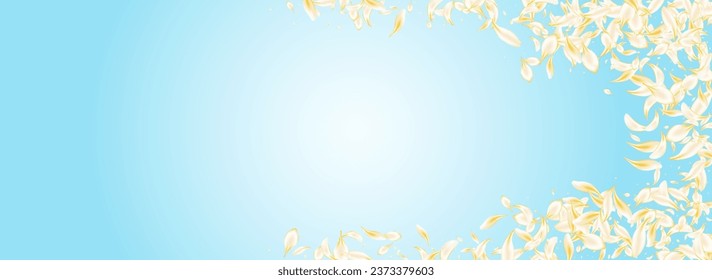 Gold Floral Summer Vector Panoramic Blue Background. Delicate Blur Lotus Cover. White Flower Japanese Template. Beige Peach Japan Design. Spring Cherry Frame.