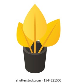 Gold Flower Pot Icon. Isometric Of Gold Flower Pot Vector Icon For Web Design Isolated On White Background