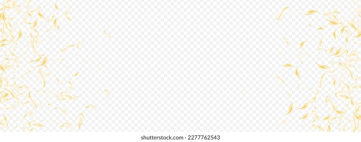 Gold Flower Summer Vector Panoramic Transparent Background. Delicate Beauty Sakura Illustration. Light Cherry Flying Backdrop. White Petal Spring Wallpaper. Tender Peach Pattern.