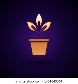 Gold Flowers in pot icon isolated on dark blue background. Plant growing in a pot. Potted plant sign.  Vector Illustration