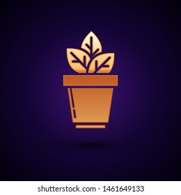 Gold Flowers in pot icon isolated on dark blue background. Plant growing in a pot. Potted plant sign.  Vector Illustration