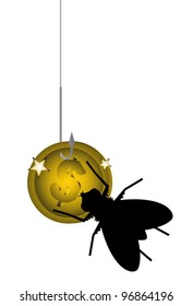 Gold fly coin