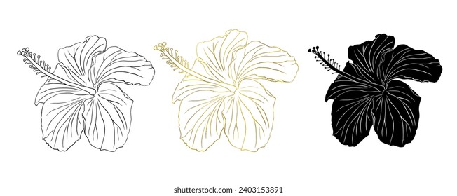 Gold foil, black ink and silhouette tropical hibiscus flower set. Chinese rose flower, hand drawn vector line art illustration for logo, card or invite,herbs hibiskus tea. Isolated on white background