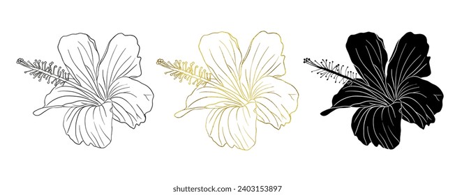 Gold foil, black ink and silhouette tropical hibiscus flower set. Chinese rose flower, hand drawn vector line art illustration for logo, card or invite,herbs hibiskus tea. Isolated on white background