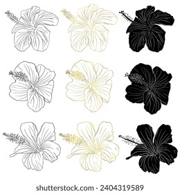 Gold foil, black ink and silhouette tropical hibiscus flower set. Chinese rose flower. Hand drawn vector line art illustration for logo, card or invite, hibiskus tea. Isolated on white background
