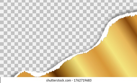 Gold foil torn paper isolated on transparent background, vector illustration. Golden shiny sheet, torn edges, grunge foil leaf, graphic design element, wrapping concept. Grunge rip texture, metal.
