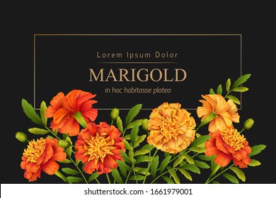 Gold frame and beautiful marigolds flowers on a black background. Retro card