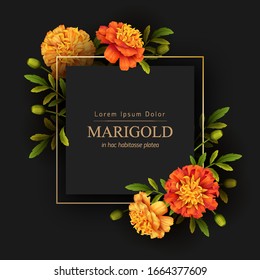 Gold frame and beautiful marigolds flowers on a black background. Retro card