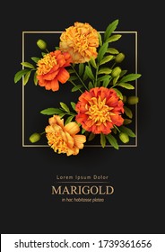 Gold frame and beautiful marigolds flowers on a black background. Retro card