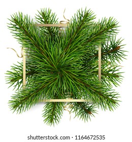Gold frame on a background of fir branches. Realistic vector element for decorate greeting card or label.