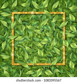 Gold frame on leaf background. Vector green leaves texture