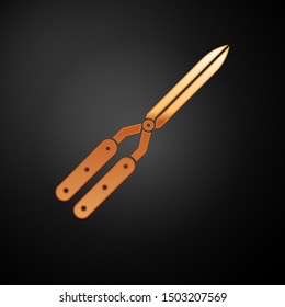 Gold Gardening handmade scissors for trimming icon isolated on black background. Pruning shears with wooden handles.  Vector Illustration