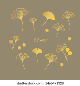 Gold ginkgo leaves and nuts vector illustration set