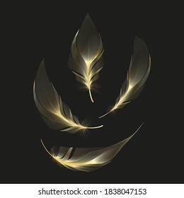 Las plumas de oro brillan. Elementos de estilo Boho, plantilla de tatuaje. Elementos de diseño de oro hippie en un fondo negro.Ilustración vectorial.