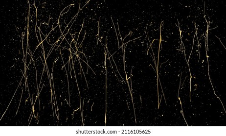 Gold Glitter Texture Isolated on Black Background. Golden Splash Silhouette. Amber Particles Color. Sparkles Rain. Vector Illustration, Eps 10.