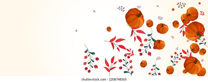 Gold Gourd Background Light Vector. Orange Park Border. Red Vegetable Healthy Frame. Pumpkin Happy. Cozy Set.