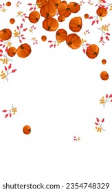 Gold Gourd Background White Vector. Leaf Farm. Colorful Healthy Border. Print Banner. Orange Leaves Happy Card.