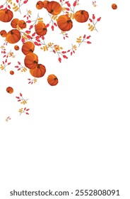 Gold Gourd Background White Vector. Plant Thanksgiving. Green Nature Frame. Farm Set. Orange Vegetable Pattern Card.