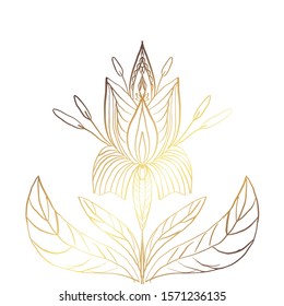 gold gradient orchid isolated hand drawn