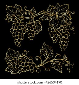 Gold grape bunches on black background. Line sketch. Hand drawn vector illustration.