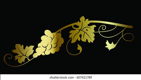 Gold grape wine branch on black background vector illustration wine theme design decorative element. 
